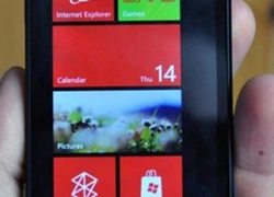 LG ấp ủ model D635 để trở lại thị trường Windows Phone?