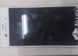 Lộ diện Sony Xperia Z3 và Xperia Z3 Compact