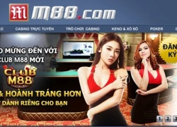 Mạng cá độ bóng đá ở Việt Nam: Chặt một đầu, mọc hai đầu?