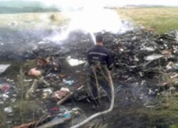 MH17 rơi: Tưởng niệm 108 chuyên gia y tế gặp nạn