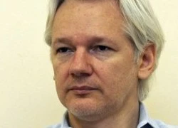 Ông trùm WikiLeaks hết mong thoát nạn