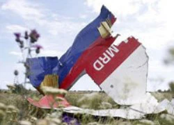 OSCE: Xác máy bay MH17 bị cắt xén