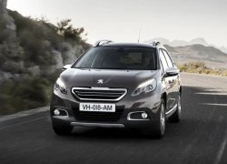 Peugeot đang trở lại cuộc đua