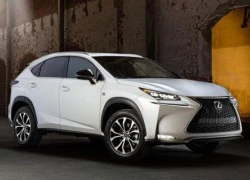 Sắp có SUV sang "tiểu Lexus NX"