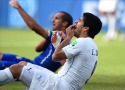 Suarez được giảm án vụ cắn Chiellini