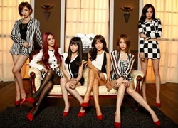 T-ara hoãn sang Việt Nam đến tháng 1/2015