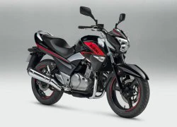 "Tiểu B-King" Suzuki Inazuma 250 thêm độc đáo với màu mới