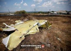 Tìm thấy vết thủng trên thân máy bay MH17