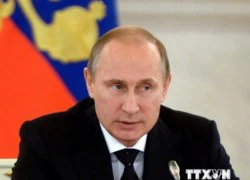 Tổng thống Putin: "Không được lợi dụng vụ MH17 để đạt mục đích chính trị"