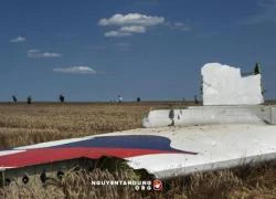 Tổng thống Ukraine ra lệnh ngừng bắn quanh vị trí MH17 rơi