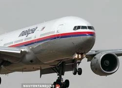 Từ vụ MH17: Có thể bảo vệ máy bay khỏi tấn công tên lửa?