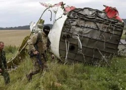 Ukraine đã yêu cầu MH17 hạ độ cao trước khi bị bắn