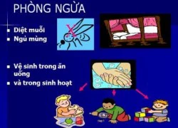 Viêm não Nhật Bản và những điều cần biết