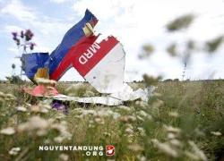 Vụ MH17 rơi ở Ukraine: Truyền thông Nga, Trung Quốc đổ tội CIA