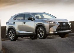 5 điều thú vị về Lexus NX hoàn toàn mới