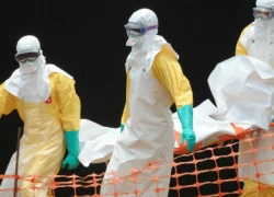 Cách phòng ngừa lây virus nguy hiểm Ebola