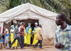 Cái chết đau đớn của những người nhiễm Ebola