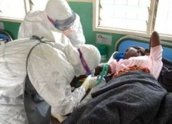 Có triệu chứng nhiễm vi rút Ebola, bạn cần làm gì?