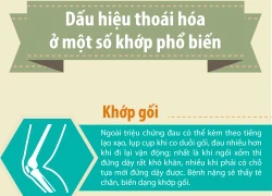 Dấu hiệu nhận biết sớm triệu chứng thoái hóa khớp