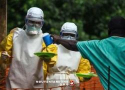 Dịch Ebola: 8 nhân viên y tế Trung Quốc bị cách ly tại Sierra Leone