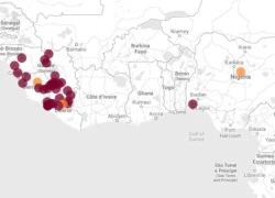 Dịch Ebola đã lan nhanh như thế nào