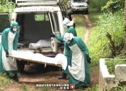 Ebola Đại dịch đang đe dọa toàn thế giới