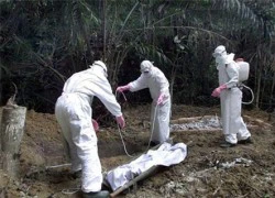 Ebola: Nhiều gia đình che giấu "tử thần" trong nhà