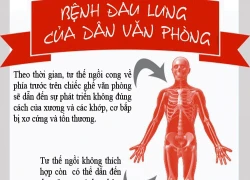 Ghế xoay giúp giảm đau lưng cho dân văn phòng