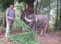 Giải quyết việc làm cho người nghèo Thanh Hóa