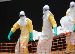 Hai người tung tin có bệnh nhân Ebola ở Việt Nam bị triệu tập