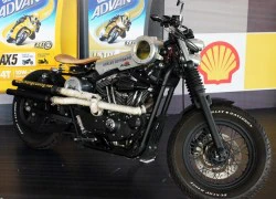 Harley-Davidson độ kiểu bobber siêu độc của biker miền Trung