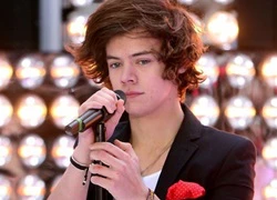 Harry Styles suýt trở thành tài tử Hollywood