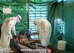 Hé lộ nguyên nhân khủng khiếp khiến bệnh Ebola bùng nổ