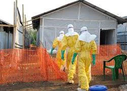 Hơn 1000 người chết do Ebola, Châu Á chưa ghi nhận ca bệnh