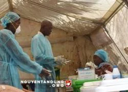 Hơn 120 nhân viên y tế tử vong do nhiễm Ebola