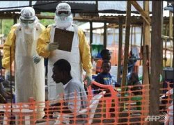 Hơn 80 người chết do Ebola chỉ trong 3 ngày