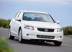 Honda Accord lỗi túi khí, 335.000 chiếc bị triệu hồi