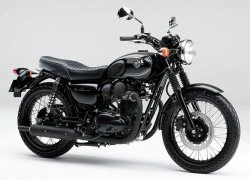 Kawasaki W800 Black Edition 2015 "Ngựa sắt" đen tuyền