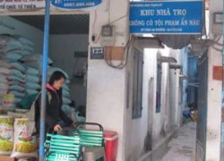 Khi sự bình yên trở về