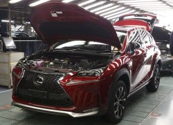 Lexus NX 2015 chính thức đi vào sản xuất