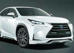 Lexus NX F Sport Modellista - Thể thao hơn bao giờ hết