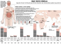 Lịch sử hoành hành của Ebola