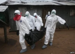 Lo dịch Ebola, Cameroon đóng cửa biên giới với Nigeria