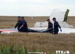 Malaysia tái khởi động điều tra hiện trường máy bay MH17 rơi