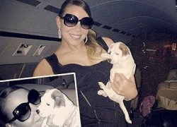 Mariah Carey chi 200.000 USD cho kỳ nghỉ của chó cưng