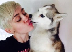 Miley Cyrus nhờ bà đồng để gặp lại cún cưng