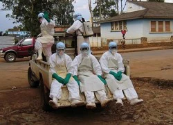 Mỗi ngày có khoảng 10 người đi từ vùng dịch Ebola về VN