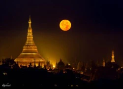 Myanmar săn lùng quả chuông khổng lồ huyền thoại