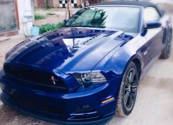 'Ngựa hoang' Ford Mustang GT Convertible âm thầm về Việt Nam