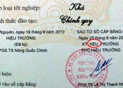 Những lỗi sai ngớ ngẩn trên bằng cử nhân, thạc sĩ